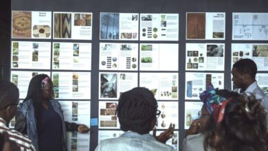 CJID Storytelling Fellowship 2026